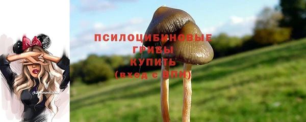 экстази Алзамай